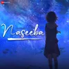 About Naseeba Song
